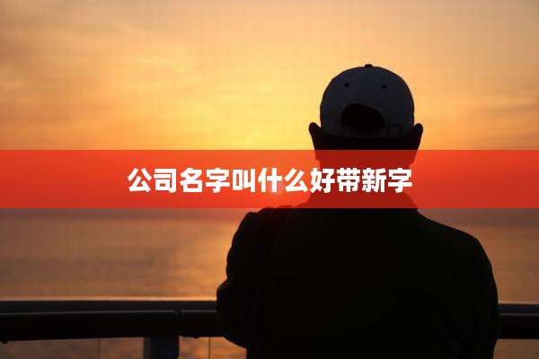 公司名字叫什么好带新字