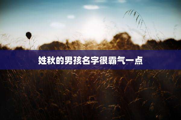 姓秋的男孩名字很霸气一点