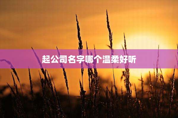 起公司名字哪个温柔好听