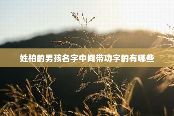 姓柏的男孩名字中间带功字的有哪些