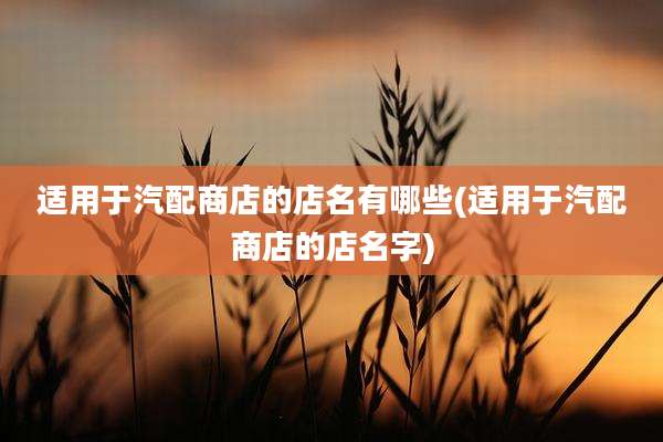 适用于汽配商店的店名有哪些(适用于汽配商店的店名字)