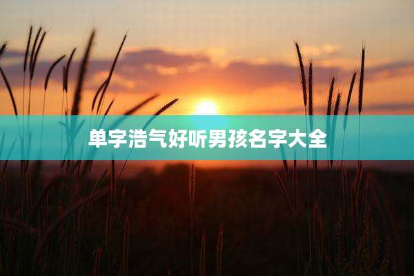 单字浩气好听男孩名字大全