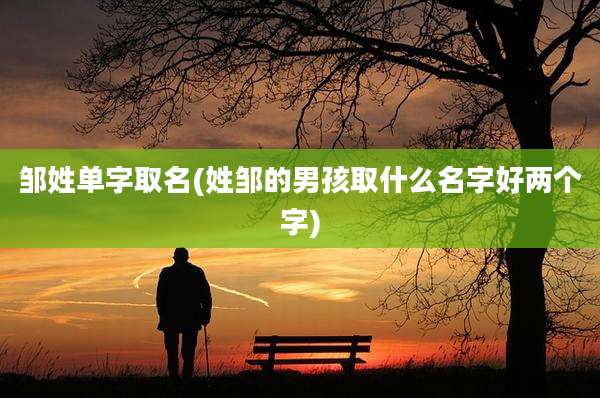 邹姓单字取名(姓邹的男孩取什么名字好两个字)