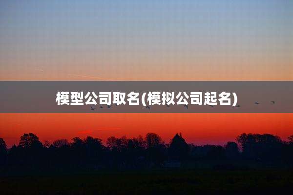 模型公司取名(模拟公司起名)