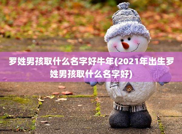 罗姓男孩取什么名字好牛年(2021年出生罗姓男孩取什么名字好)