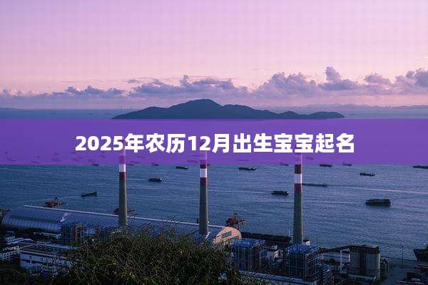 2025年农历12月出生宝宝起名
