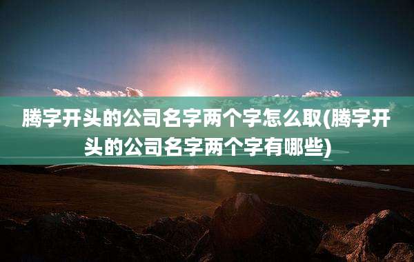 腾字开头的公司名字两个字怎么取(腾字开头的公司名字两个字有哪些)