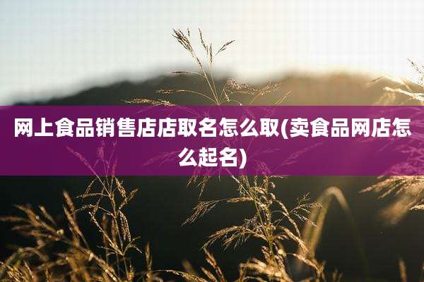 网上食品销售店店取名怎么取(卖食品网店怎么起名)