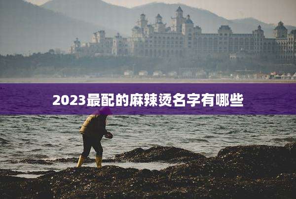2023最配的麻辣烫名字有哪些