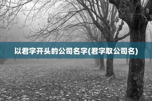 以君字开头的公司名字(君字取公司名)