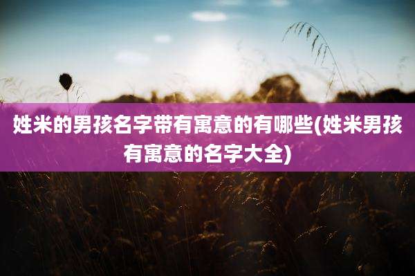 姓米的男孩名字带有寓意的有哪些(姓米男孩有寓意的名字大全)