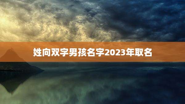 姓向双字男孩名字2023年取名