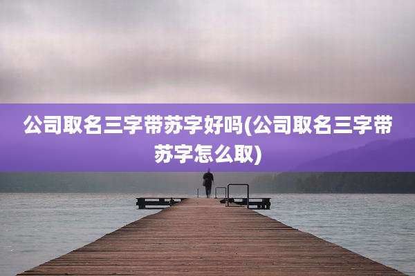 公司取名三字带苏字好吗(公司取名三字带苏字怎么取)