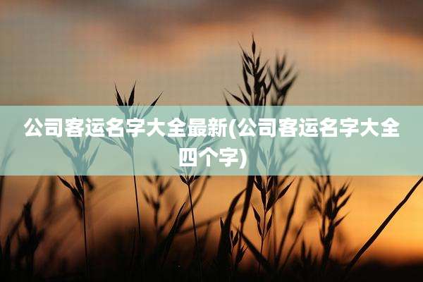 公司客运名字大全最新(公司客运名字大全四个字)