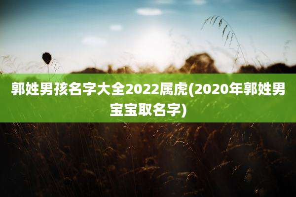 郭姓男孩名字大全2022属虎(2020年郭姓男宝宝取名字)
