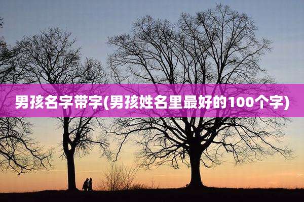 男孩名字带字(男孩姓名里最好的100个字)