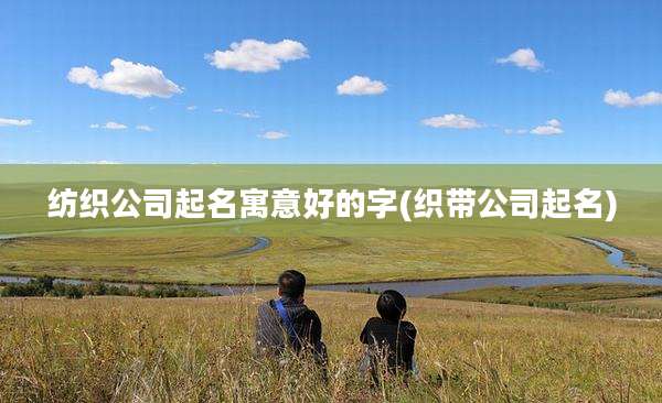纺织公司起名寓意好的字(织带公司起名)