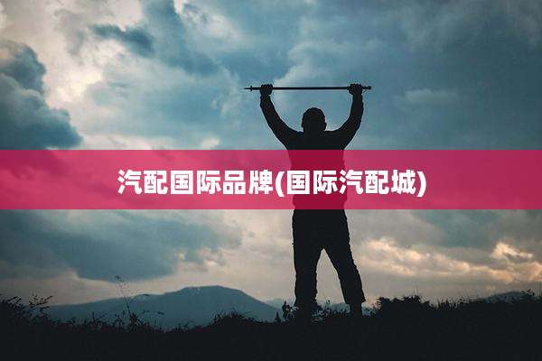 汽配国际品牌(国际汽配城)