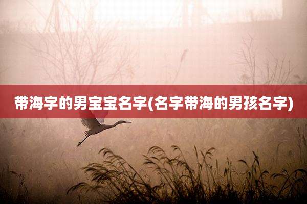 带海字的男宝宝名字(名字带海的男孩名字)