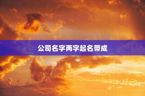 公司名字两字起名带成