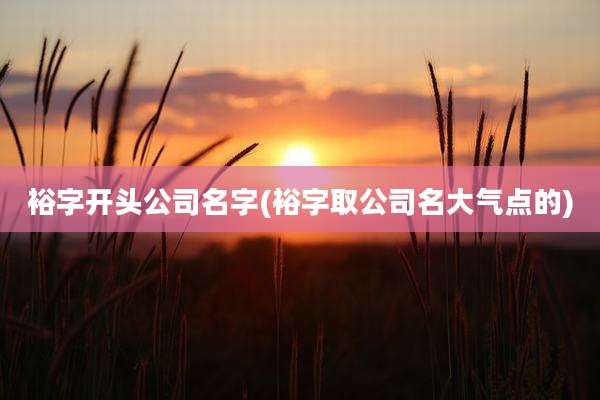 裕字开头公司名字(裕字取公司名大气点的)