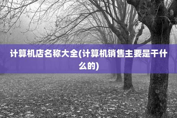 计算机店名称大全(计算机销售主要是干什么的)