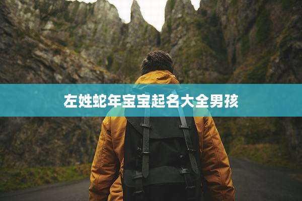 左姓蛇年宝宝起名大全男孩