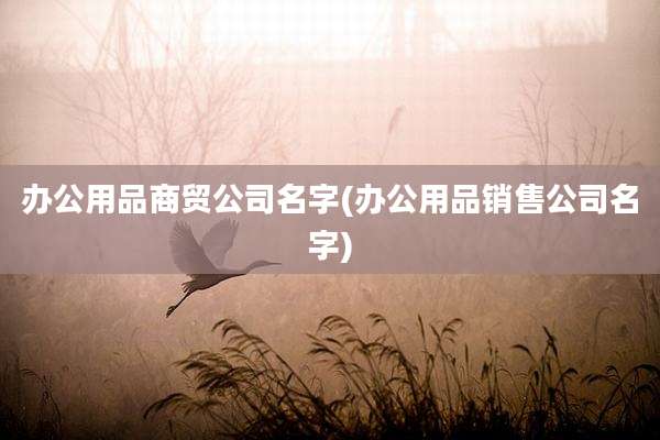 办公用品商贸公司名字(办公用品销售公司名字)