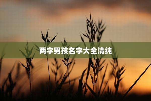 两字男孩名字大全清纯
