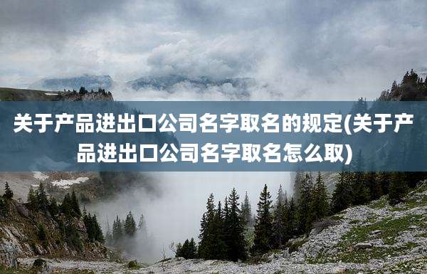 关于产品进出口公司名字取名的规定(关于产品进出口公司名字取名怎么取)