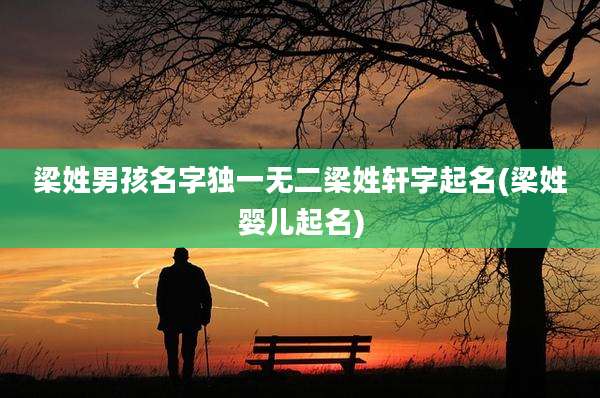 梁姓男孩名字独一无二梁姓轩字起名(梁姓婴儿起名)