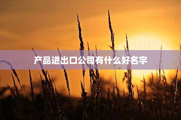 产品进出口公司有什么好名字