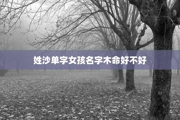 姓沙单字女孩名字木命好不好