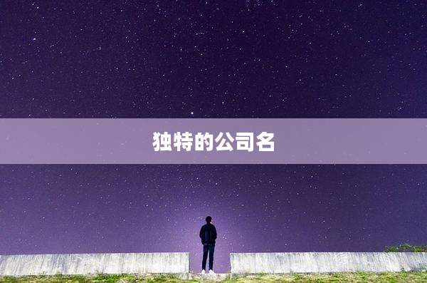 独特的公司名