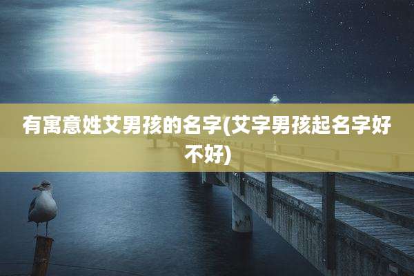 有寓意姓艾男孩的名字(艾字男孩起名字好不好)