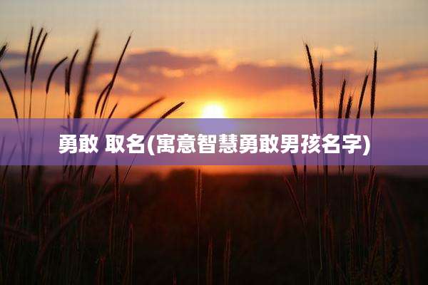 勇敢 取名(寓意智慧勇敢男孩名字)