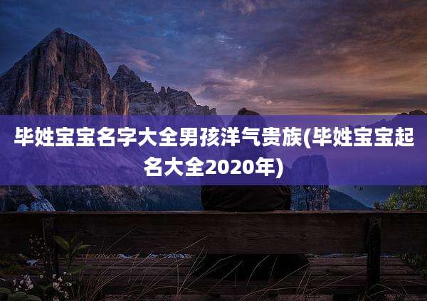 毕姓宝宝名字大全男孩洋气贵族(毕姓宝宝起名大全2020年)