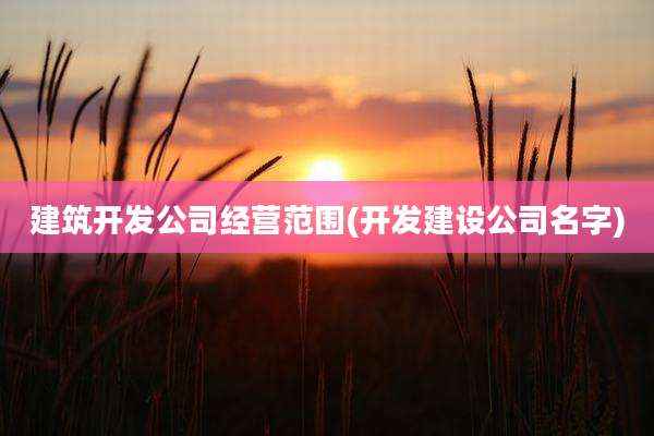 建筑开发公司经营范围(开发建设公司名字)