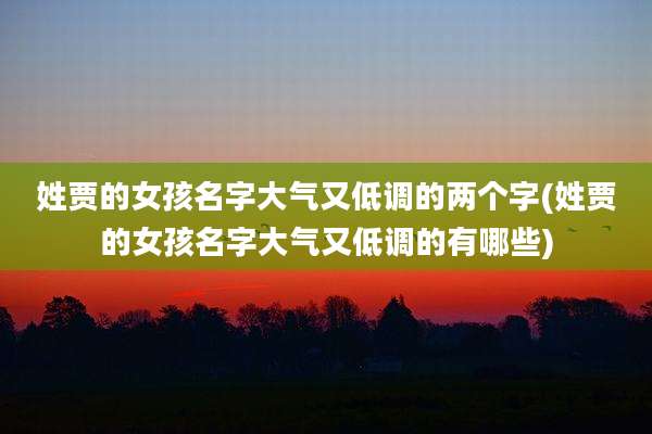 姓贾的女孩名字大气又低调的两个字(姓贾的女孩名字大气又低调的有哪些)