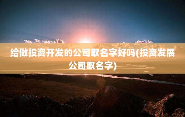 给做投资开发的公司取名字好吗(投资发展公司取名字)
