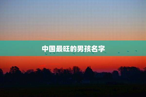 中国最旺的男孩名字