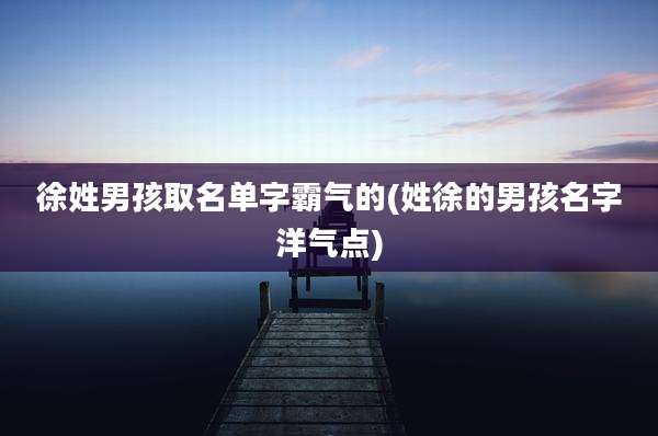 徐姓男孩取名单字霸气的(姓徐的男孩名字洋气点)