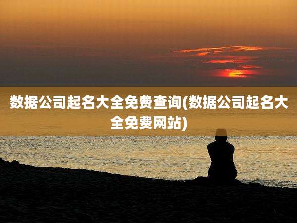 数据公司起名大全免费查询(数据公司起名大全免费网站)