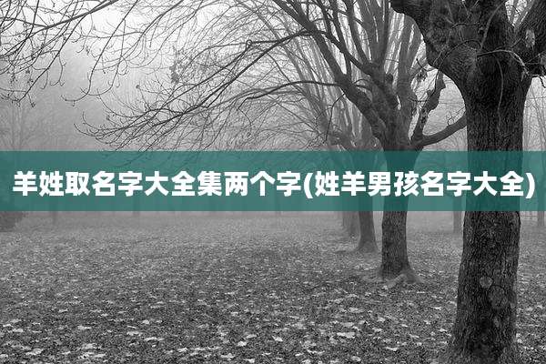 羊姓取名字大全集两个字(姓羊男孩名字大全)