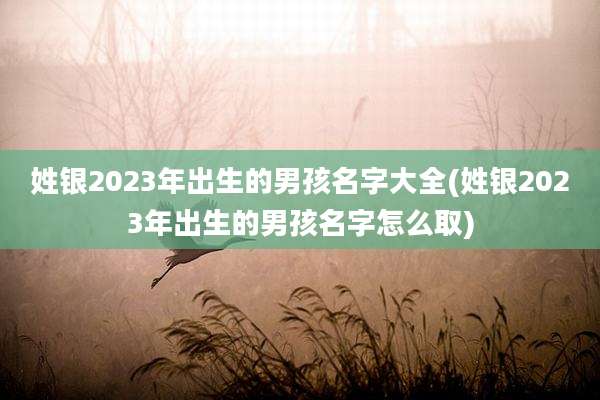 姓银2023年出生的男孩名字大全(姓银2023年出生的男孩名字怎么取)