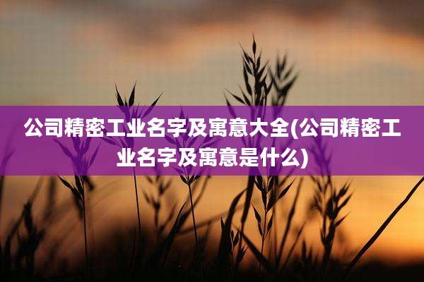 公司精密工业名字及寓意大全(公司精密工业名字及寓意是什么)