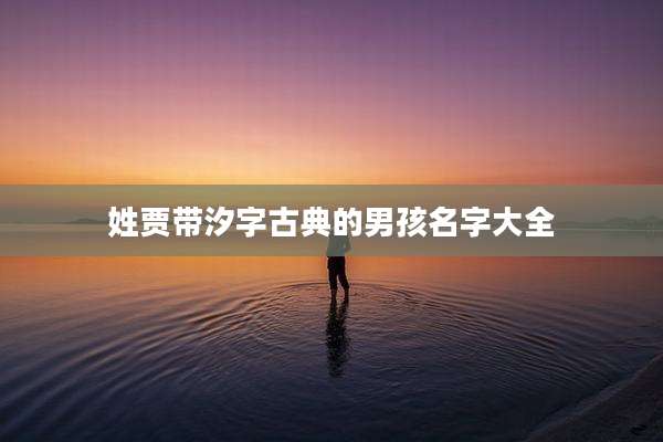 姓贾带汐字古典的男孩名字大全