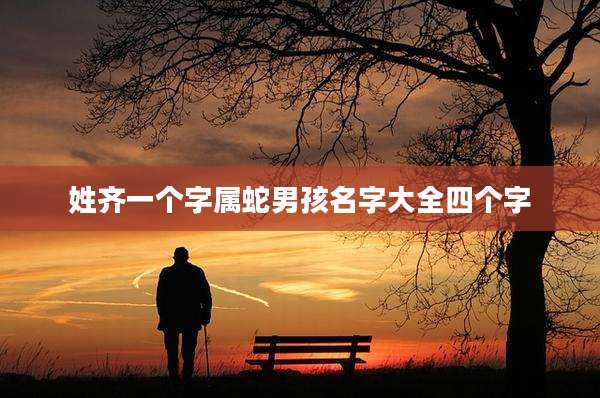 姓齐一个字属蛇男孩名字大全四个字