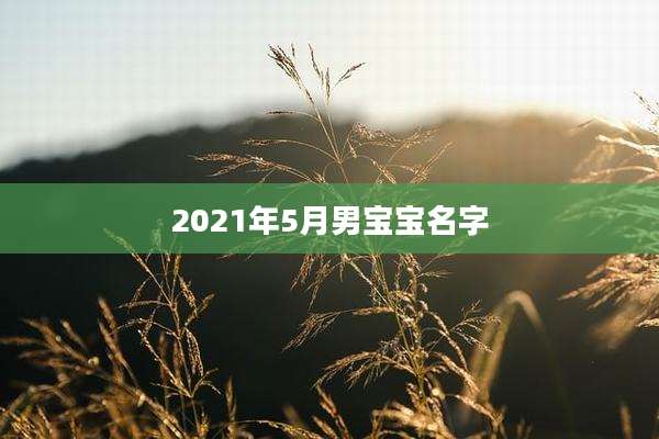 2021年5月男宝宝名字