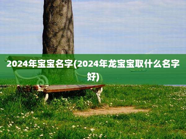 2024年宝宝名字(2024年龙宝宝取什么名字好)